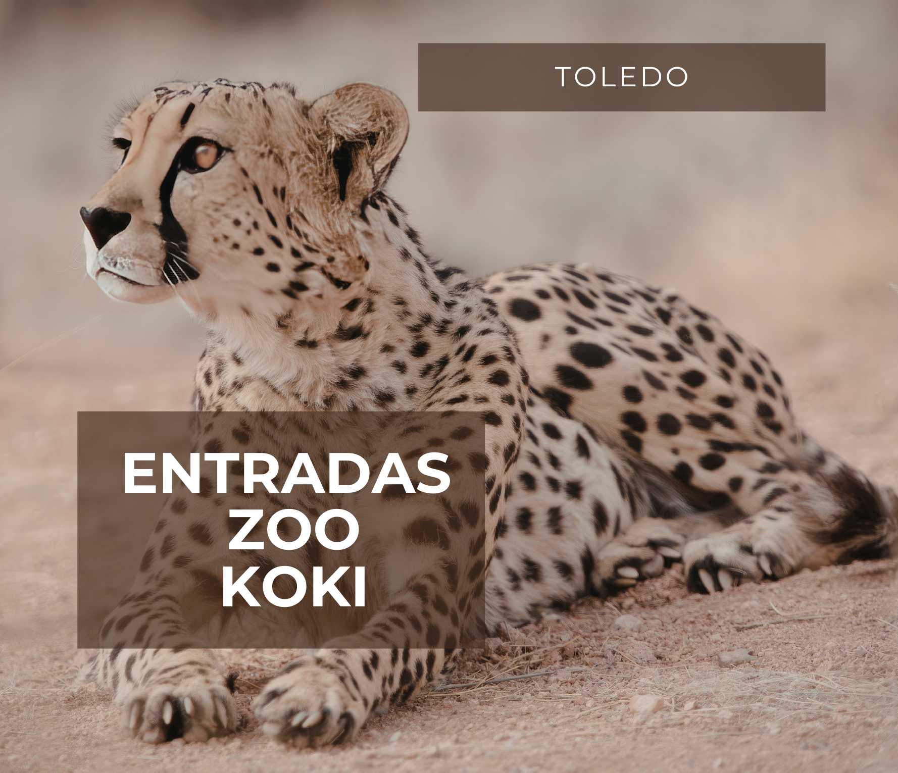 Entradas Zoo Koki